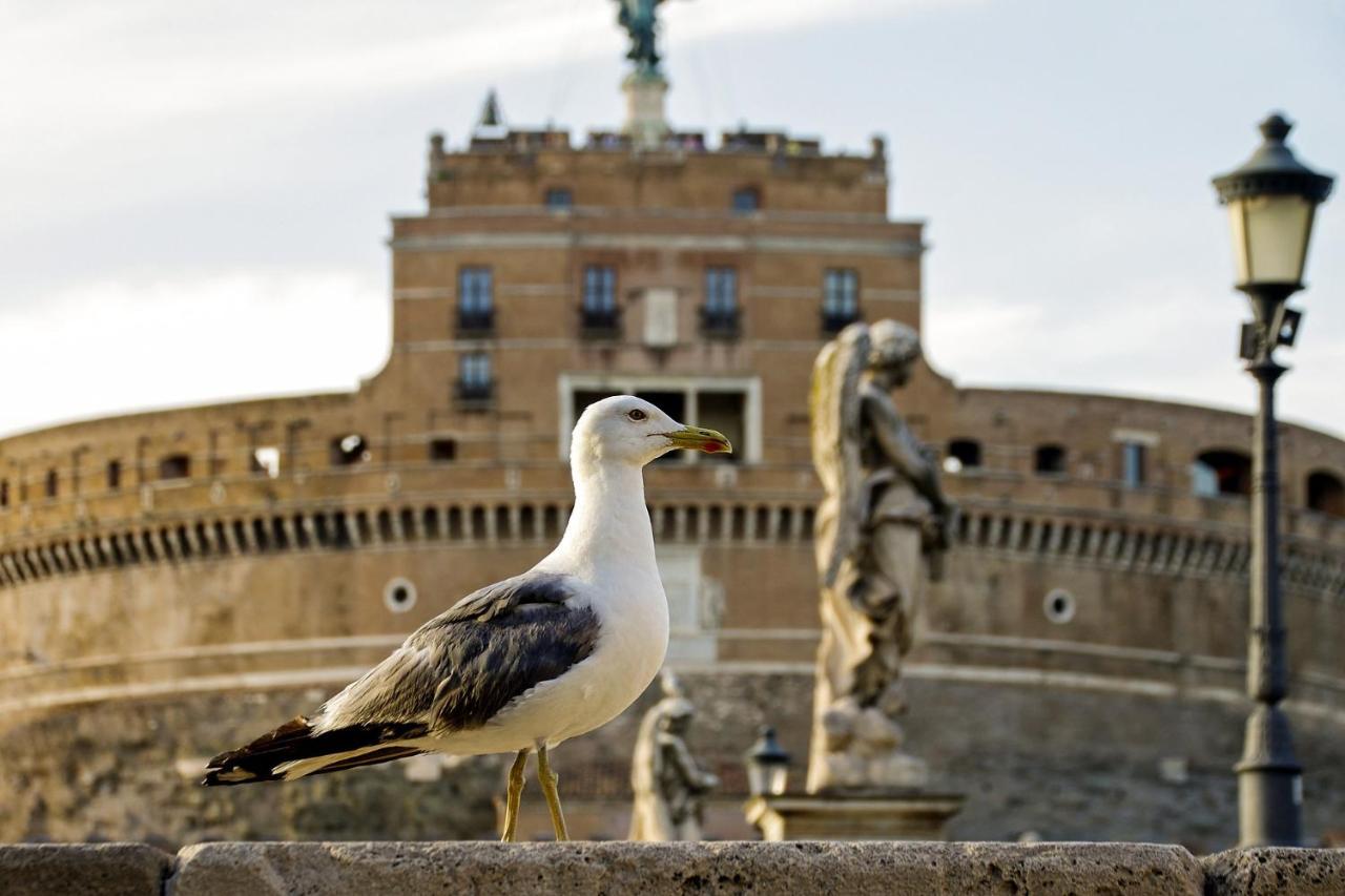 Roma Vatican Exteriér fotografie